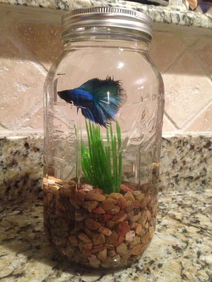 25 Creative Ways to Use Glass Jars for Decoration Blog