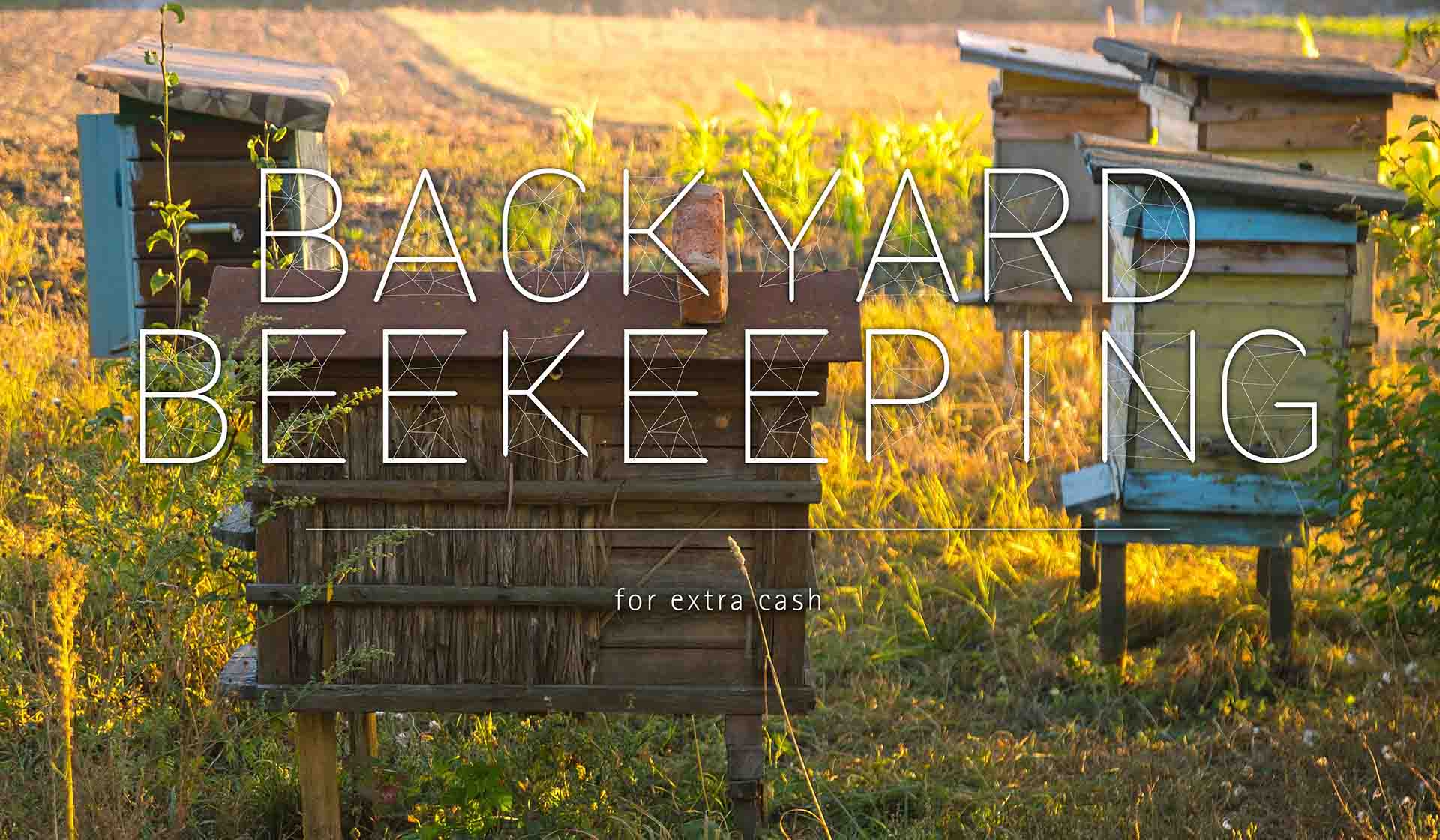 Backyard Beekeeping For Extra Cash