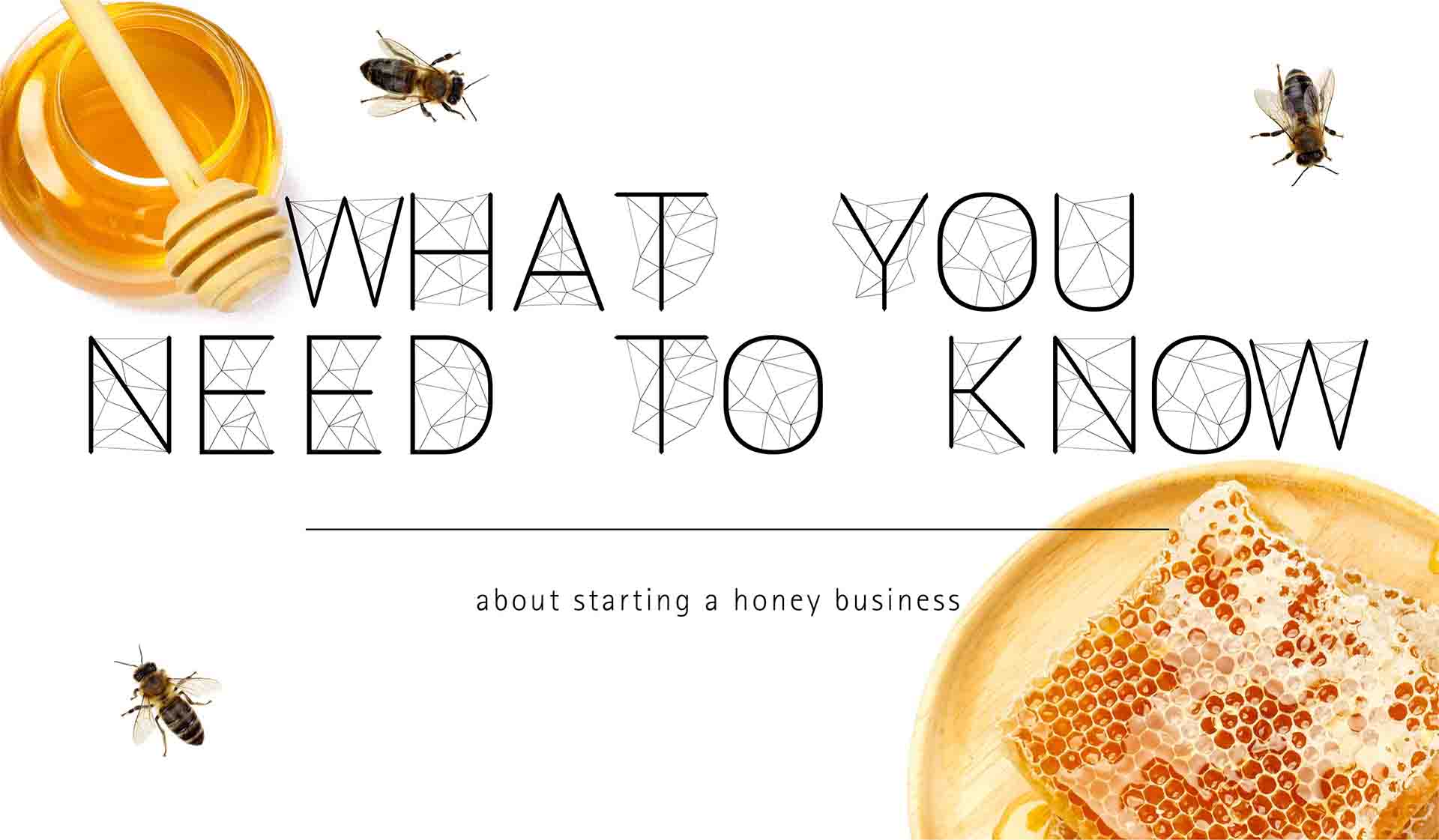 What You Need to Know About Starting a Honey Business