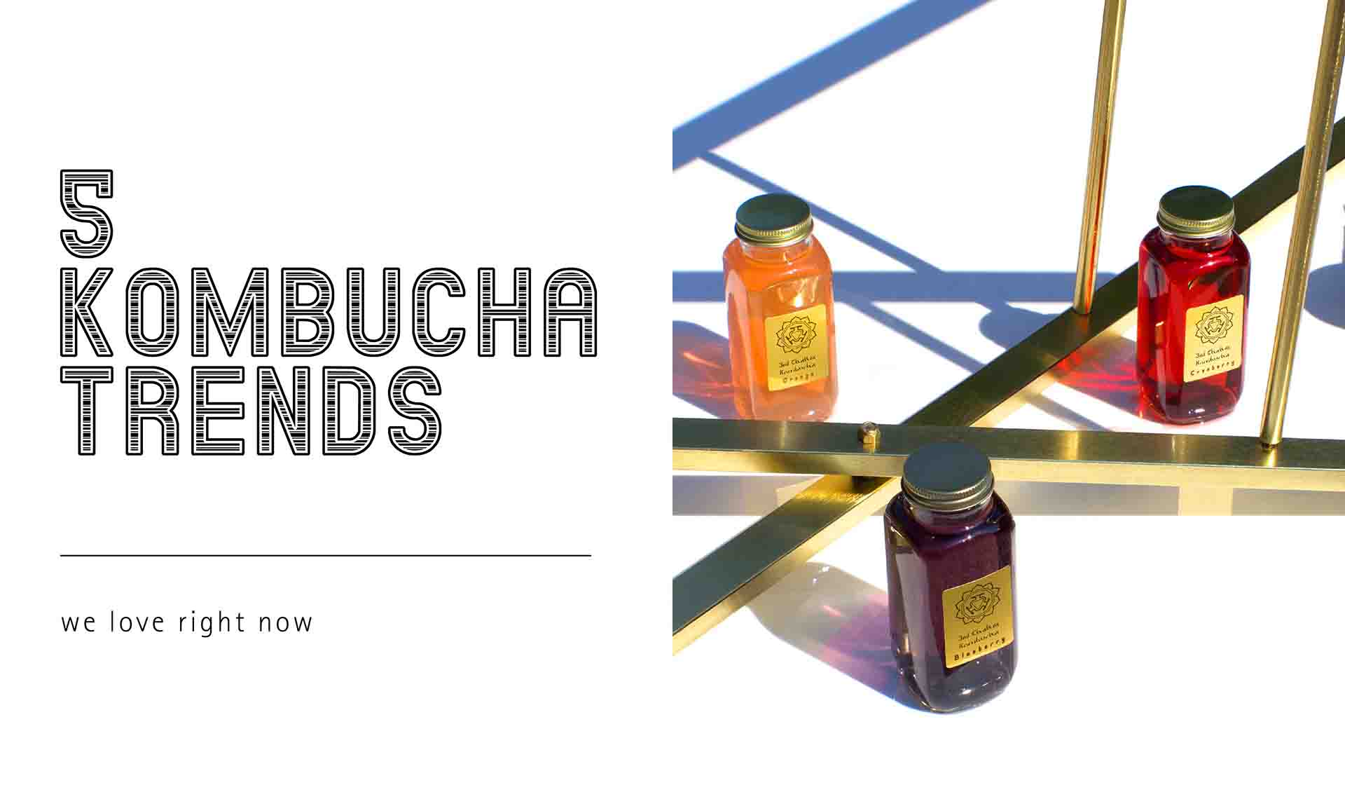 Five Kombucha Bottle Branding Trends We Love Right Now