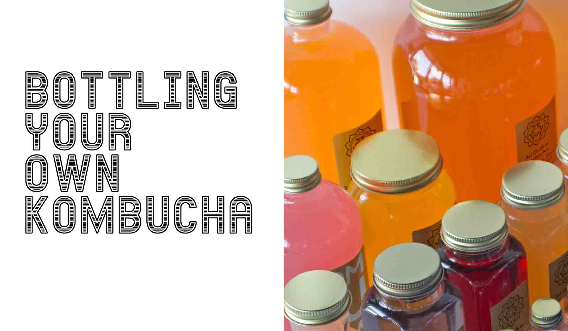 Bottling Your Own Kombucha