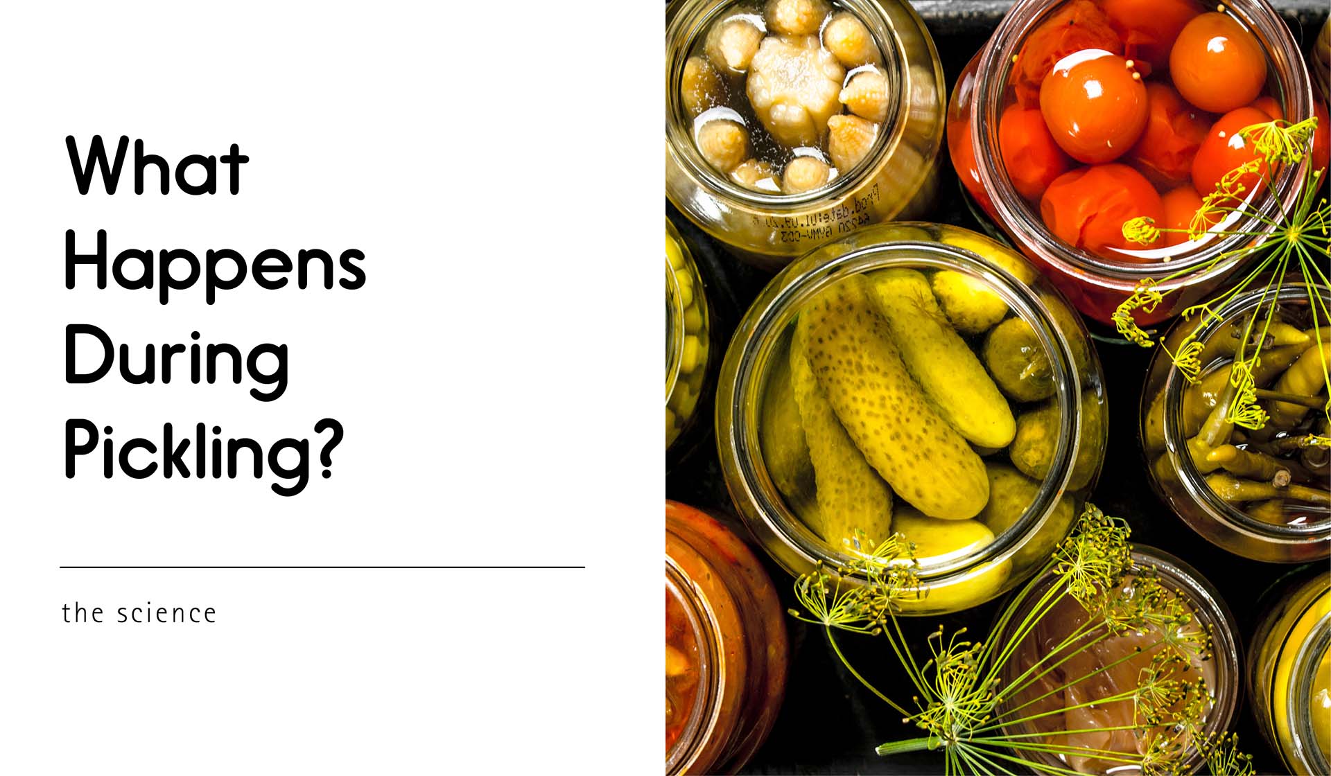 What Happens During Pickling?