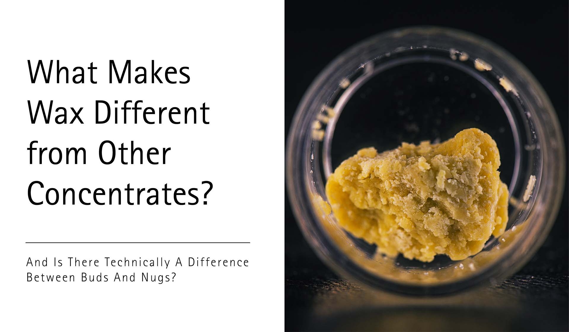What Makes Wax Different from Other Concentrates And Is There Technically A Difference Between Buds And Nugs?