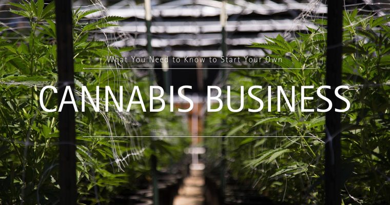 What You Need to Know to Start Your Own Cannabis Business