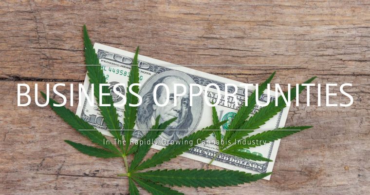 Business Opportunities In The Rapidly Growing Cannabis Industry