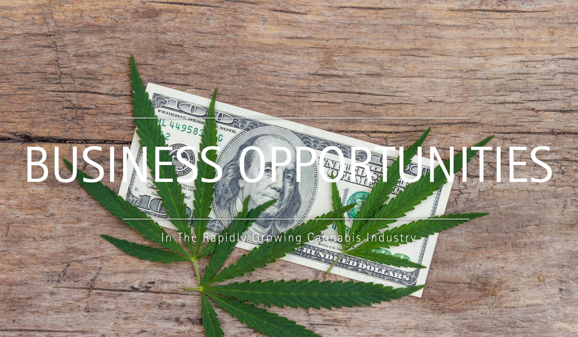 Business Opportunities In The Rapidly Growing Cannabis Industry