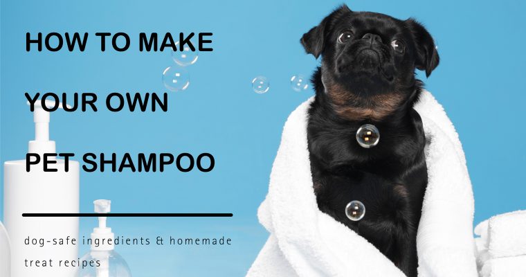 How To Make Your Own Pet Shampoo