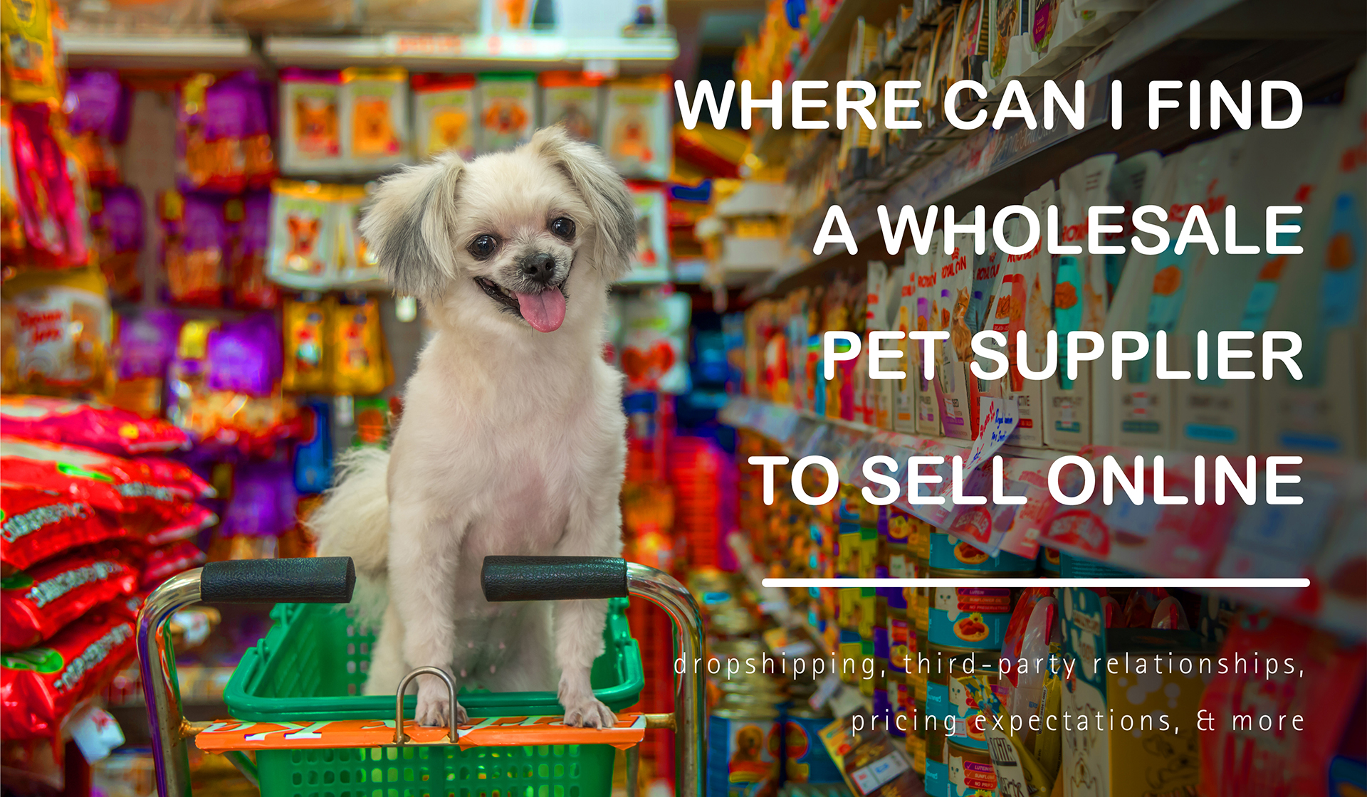 Where Can I Find A Wholesale Pet Supplier To Sell Online?