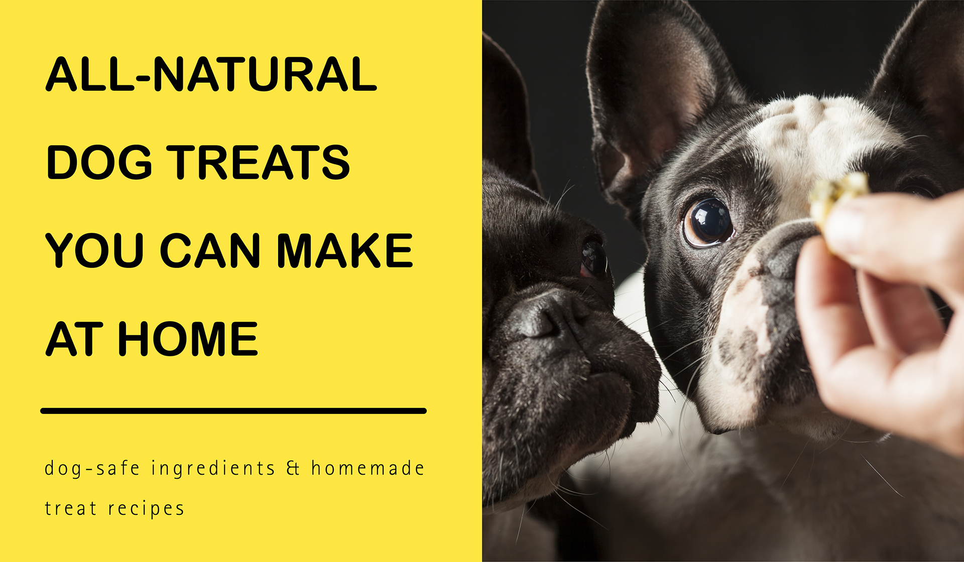 All-Natural Dog Treats You Can Make at Home