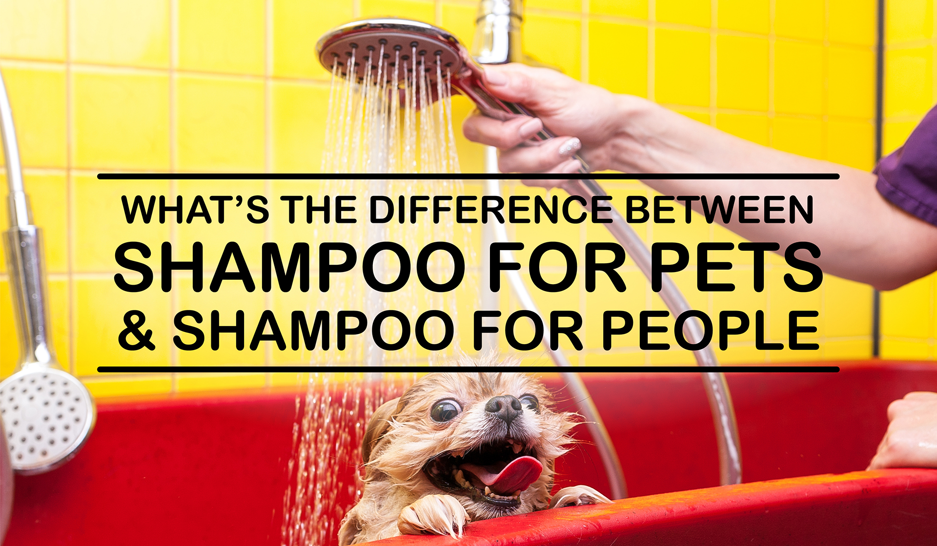 What’s the Difference Between Shampoo for Pets and Shampoo for People?