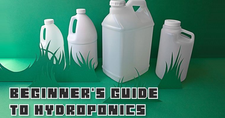 Beginner’s Guide to Hydroponics