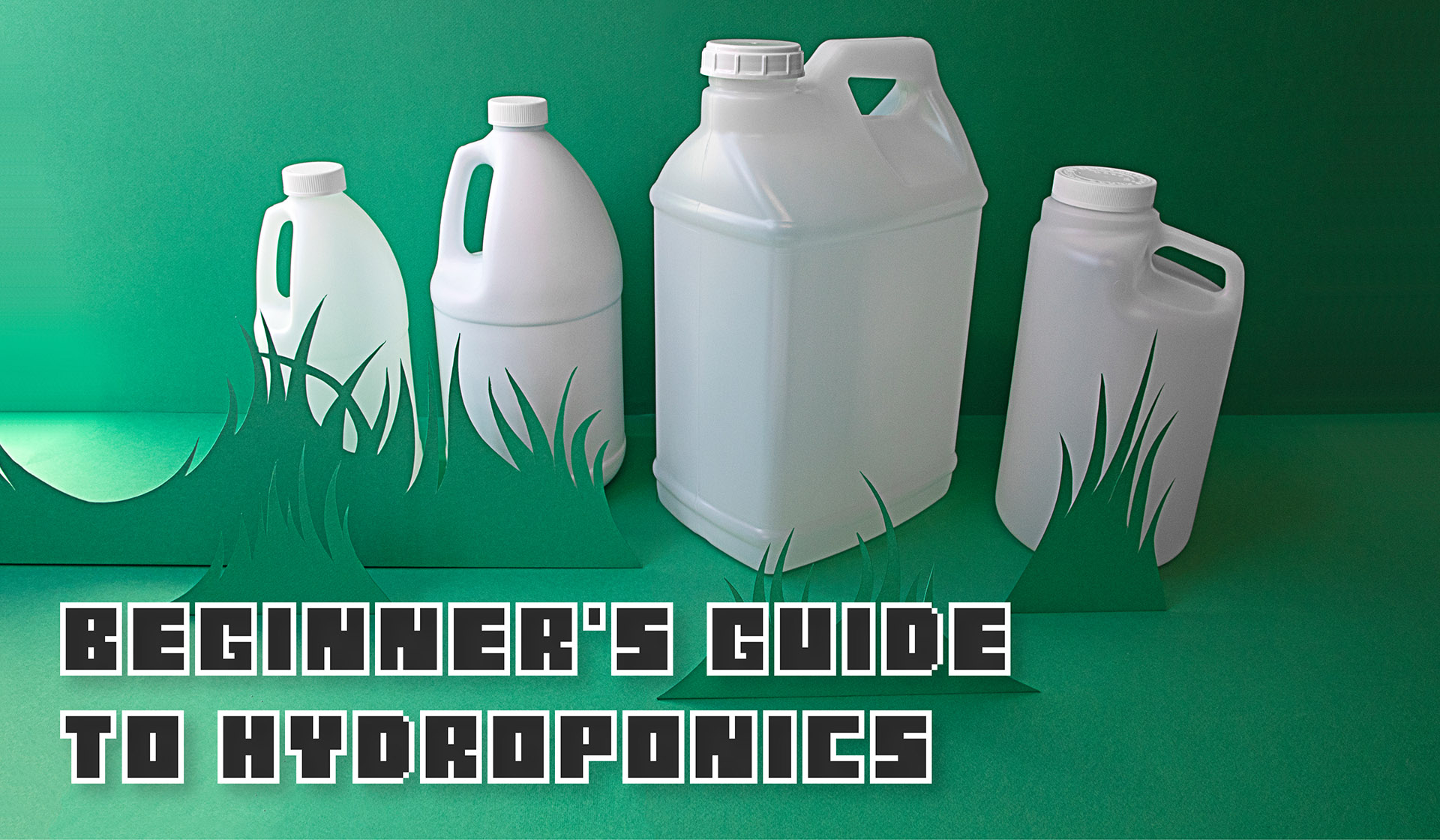 Beginner’s Guide to Hydroponics