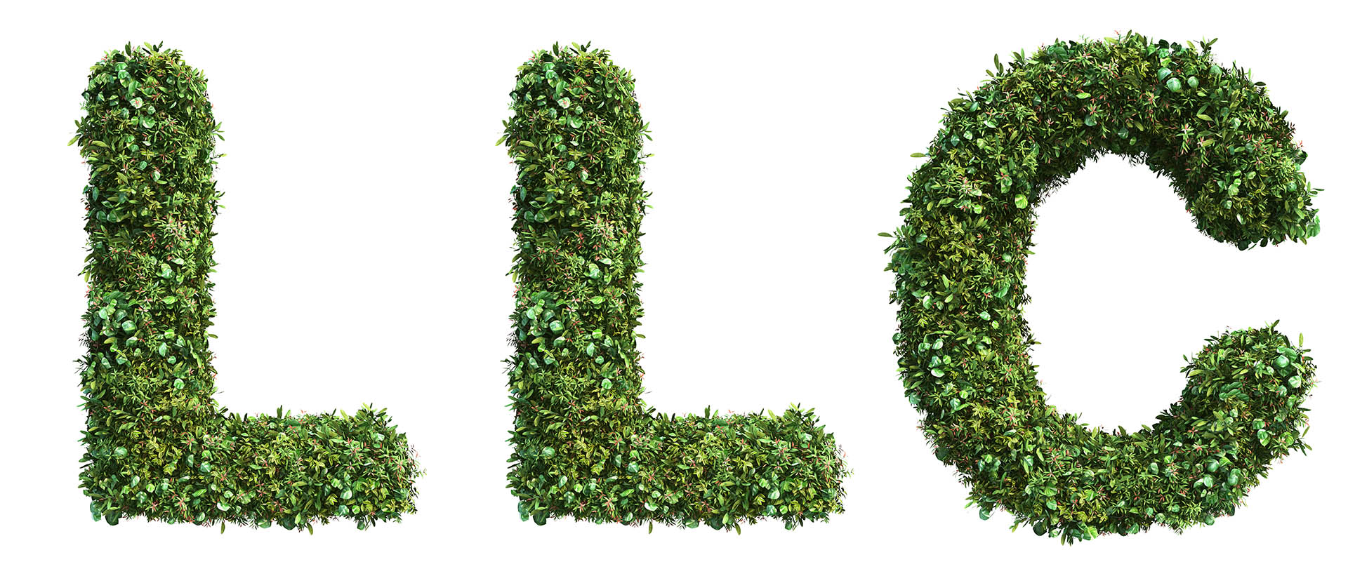 How Do I Start My Own Gardening Business? – BottleStore.com Blog