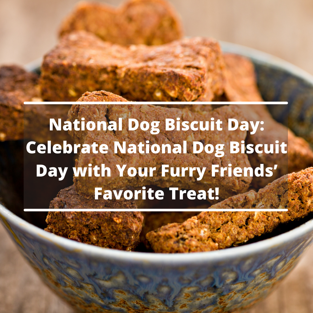 Celebrate National Dog Biscuit Day with Your Furry Friends’ Favorite Treat!