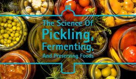 https://blog.bottlestore.com/wp-content/uploads/2023/06/2023-6-BottleStore.com-The-Bottle-Blog-The-Science-Of-Pickling-Fermenting-And-Preserving-Foods-0-273x159.jpg