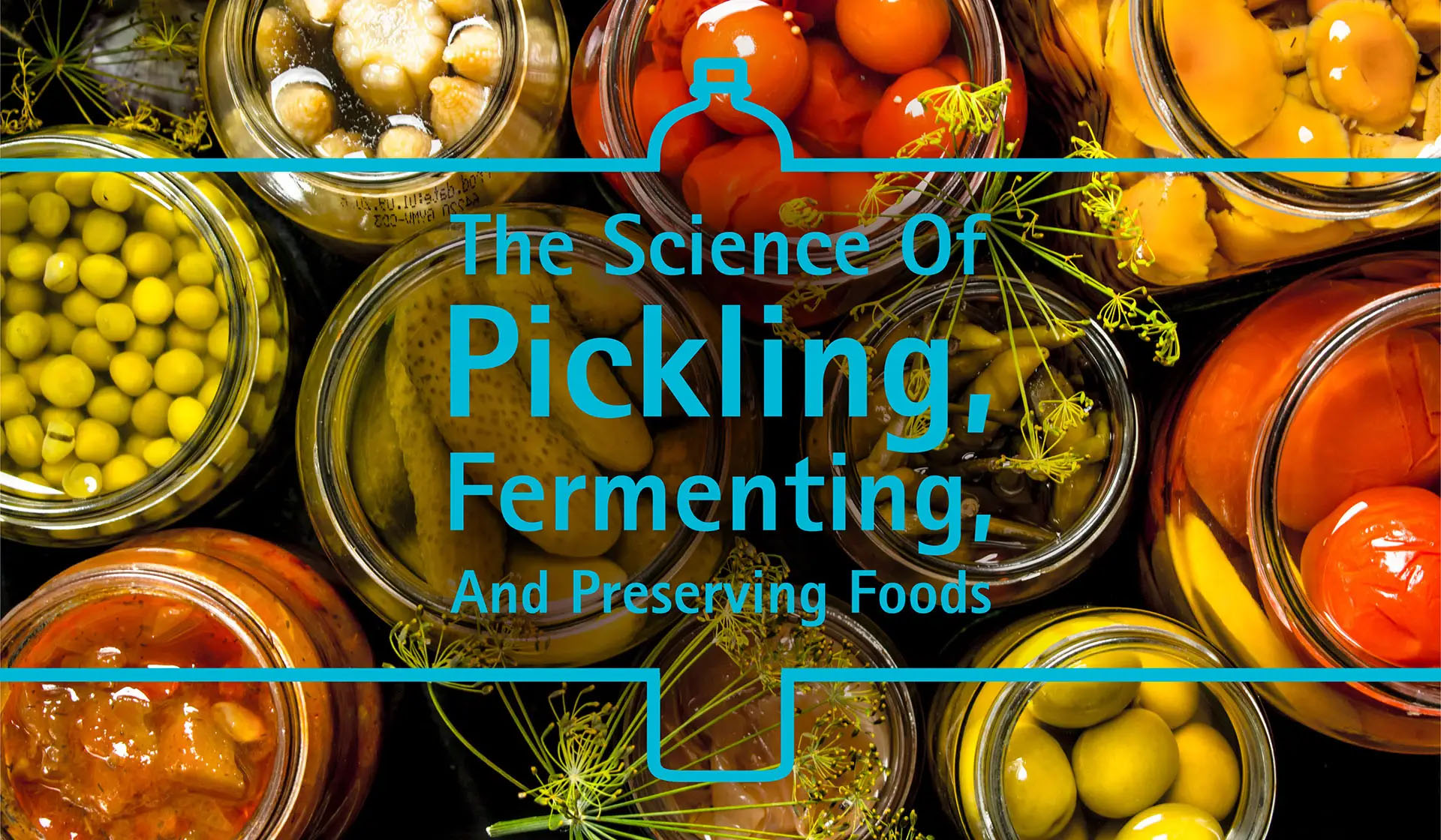 The Science of Pickling, Fermenting, and Preserving Foods